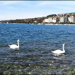 Enjoy *