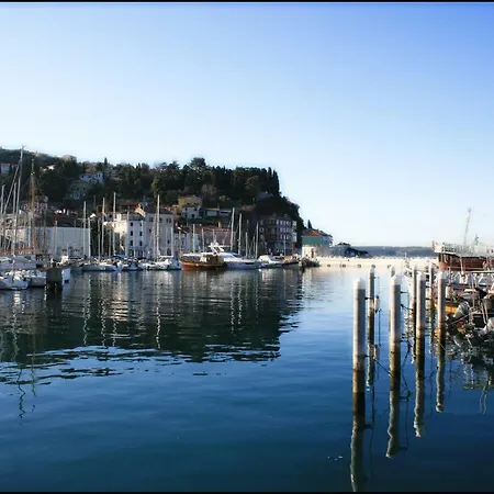 Enjoy * Piran
